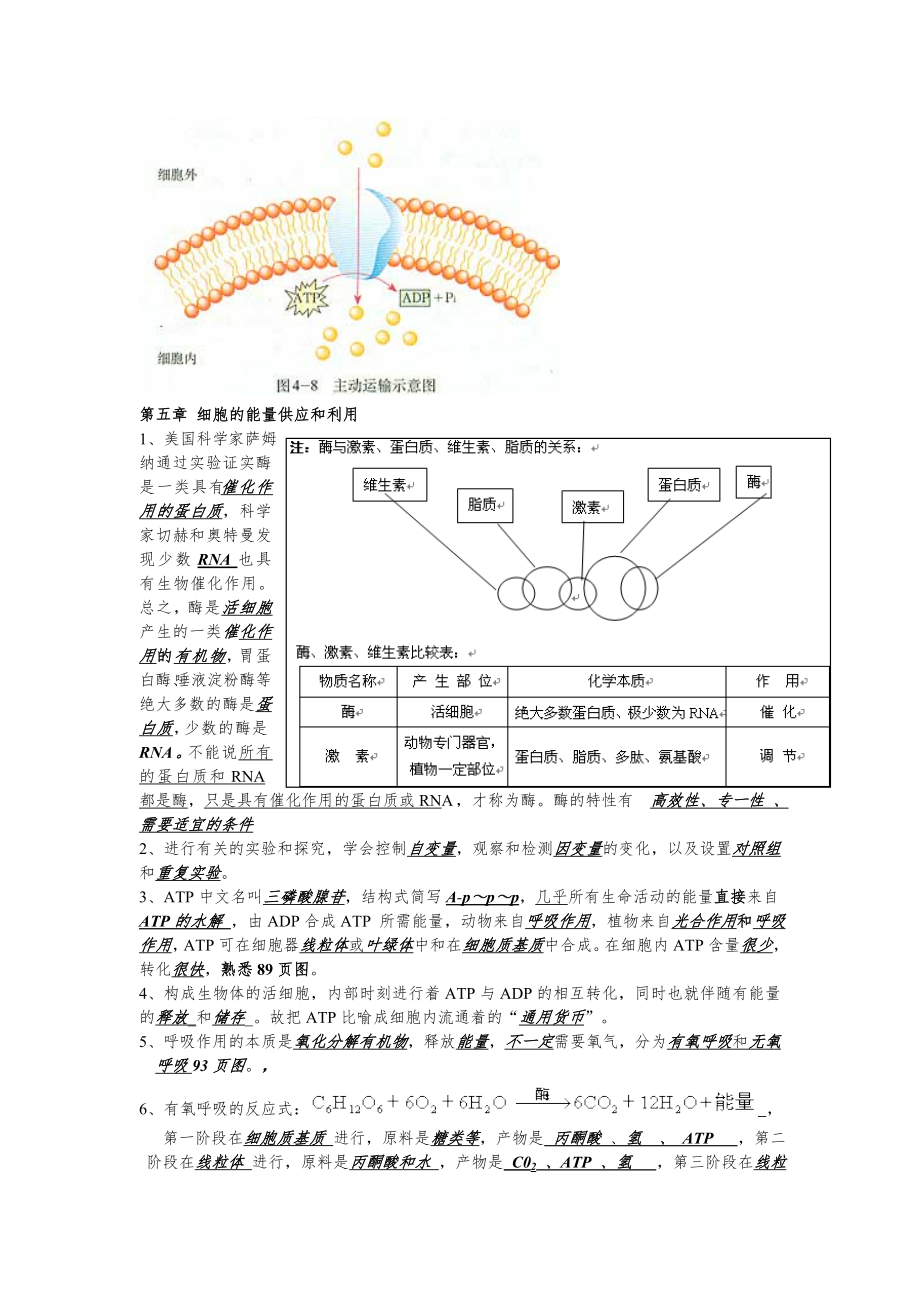 高中生物高考考点汇总(含选修)