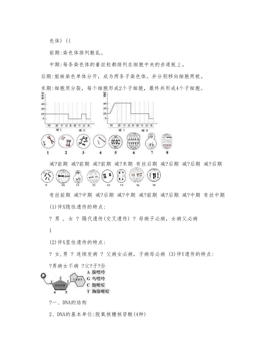 高中生物减数分裂知识点总结