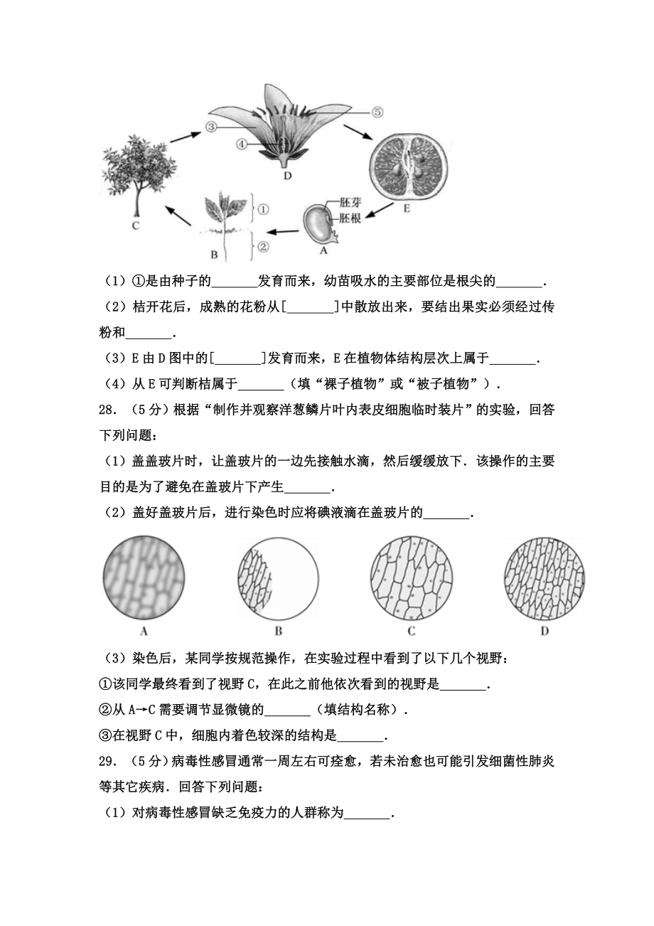 2017年福建省中考生物试卷答案