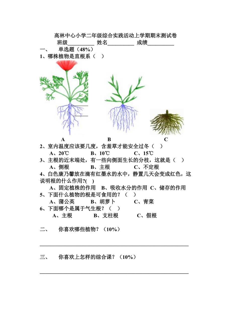 二年级实践活动期末测试卷