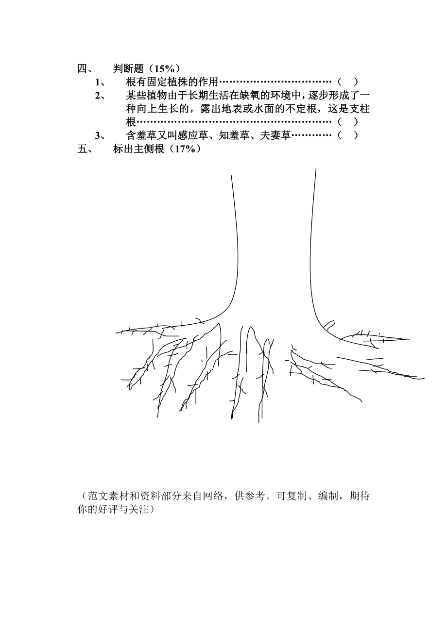 二年级实践活动期末测试卷