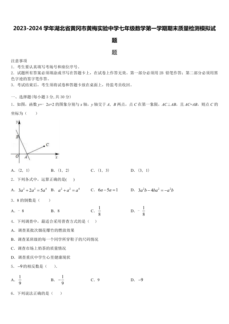 2023-2024学年湖北省黄冈市黄梅实验中学七年级数学第一学期期末质量检测模拟试题含解析