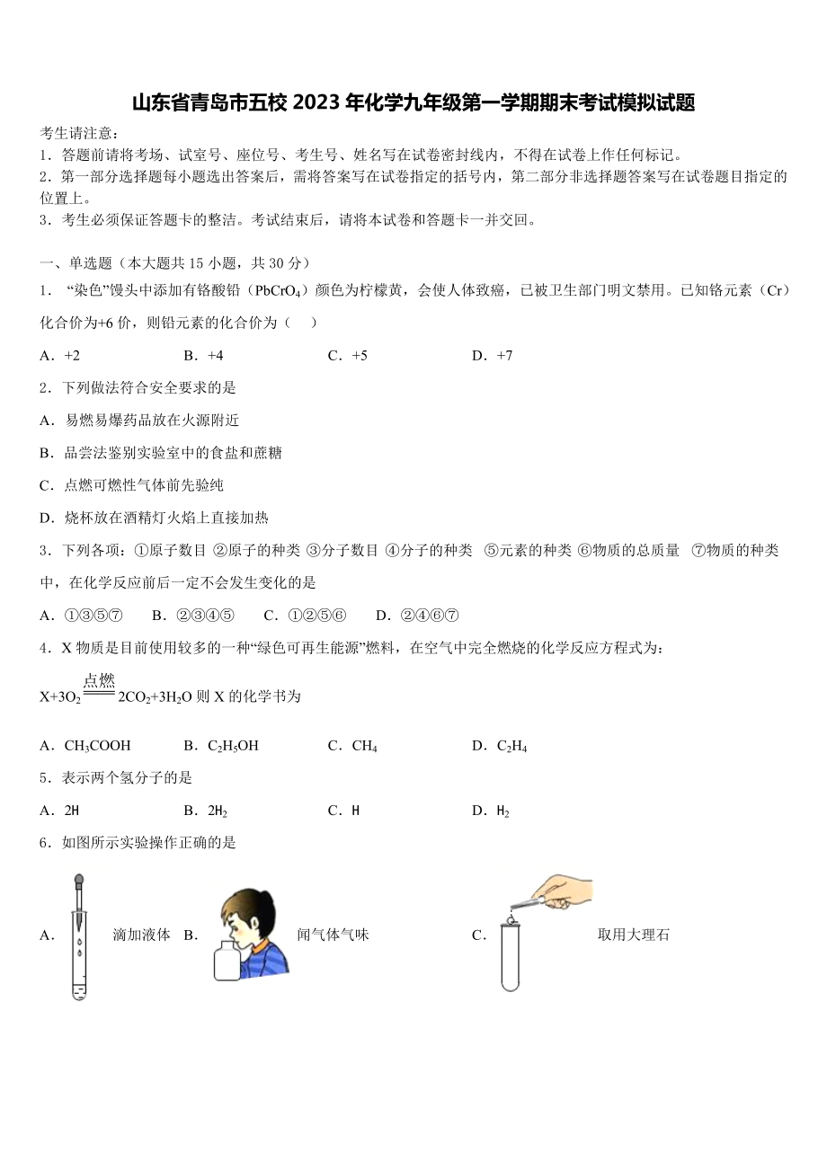 山东省青岛市五校2023年化学九年级第一学期期末考试模拟试题含解析