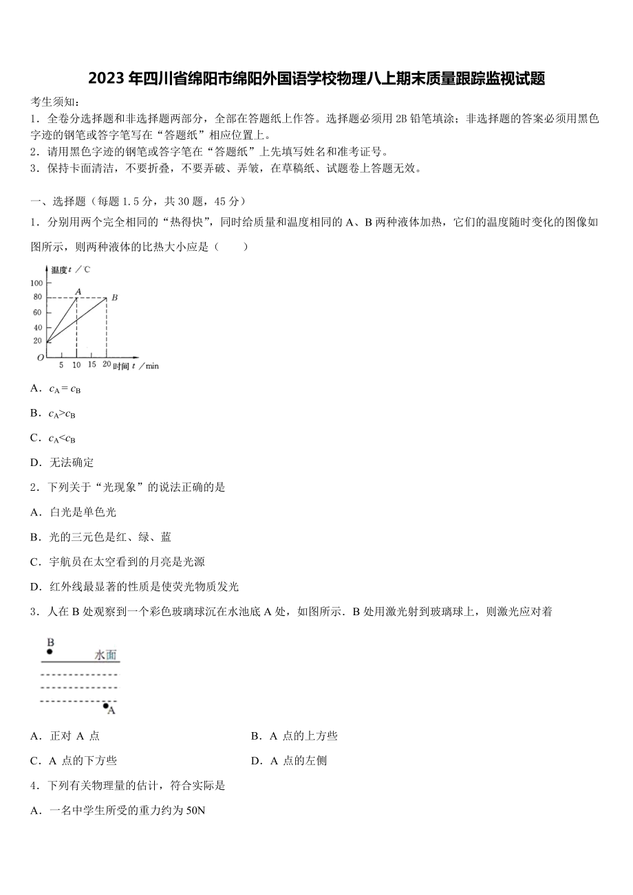 2023年四川省绵阳市绵阳外国语学校物理八上期末质量跟踪监视试题含解析