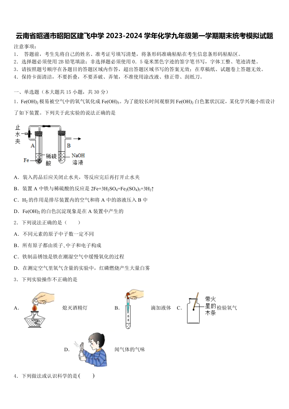 云南省昭通市昭阳区建飞中学2023-2024学年化学九年级第一学期期末统考模拟试题含解析