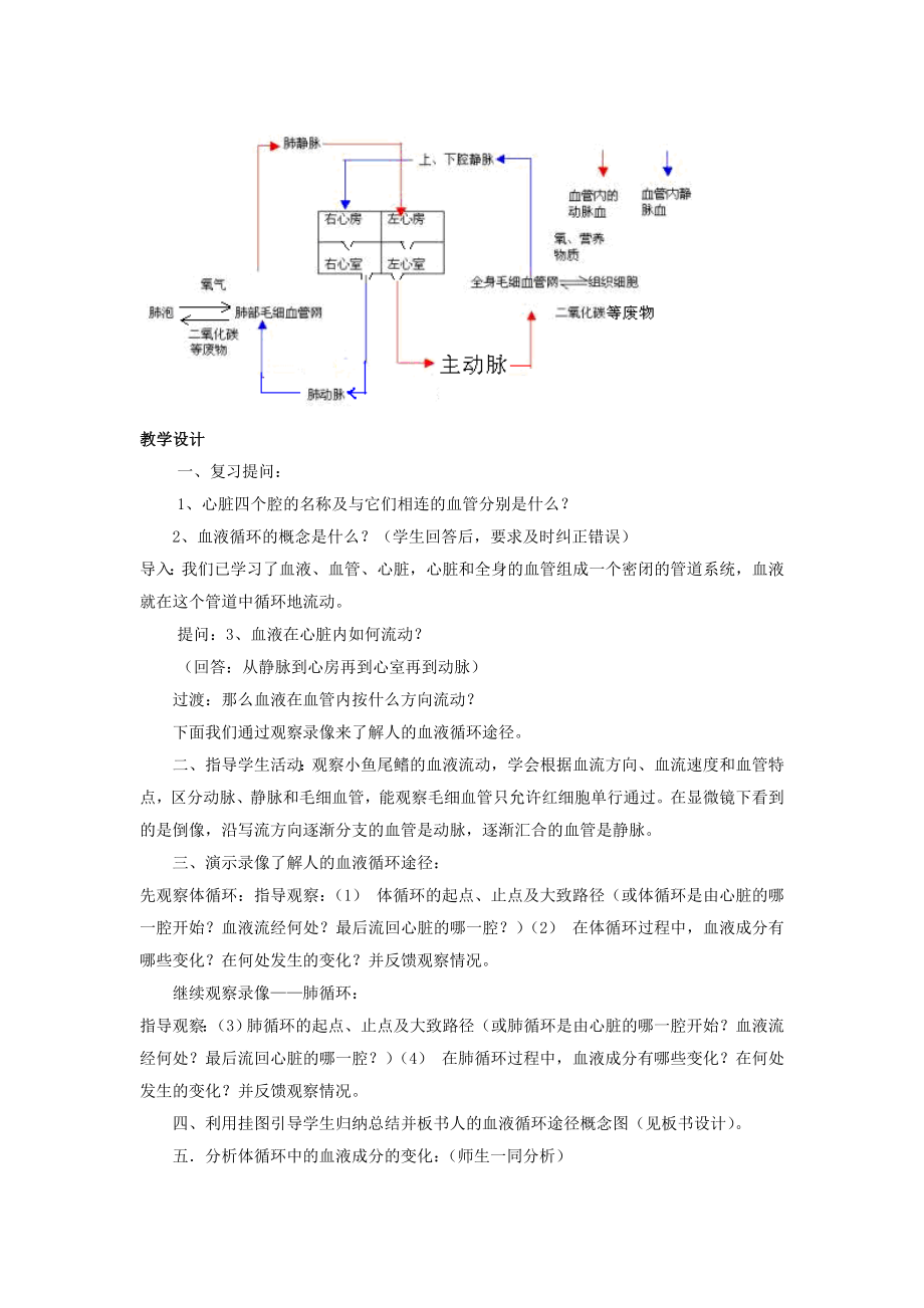 -七年级生物下册 血液循环教学设计 北师大版