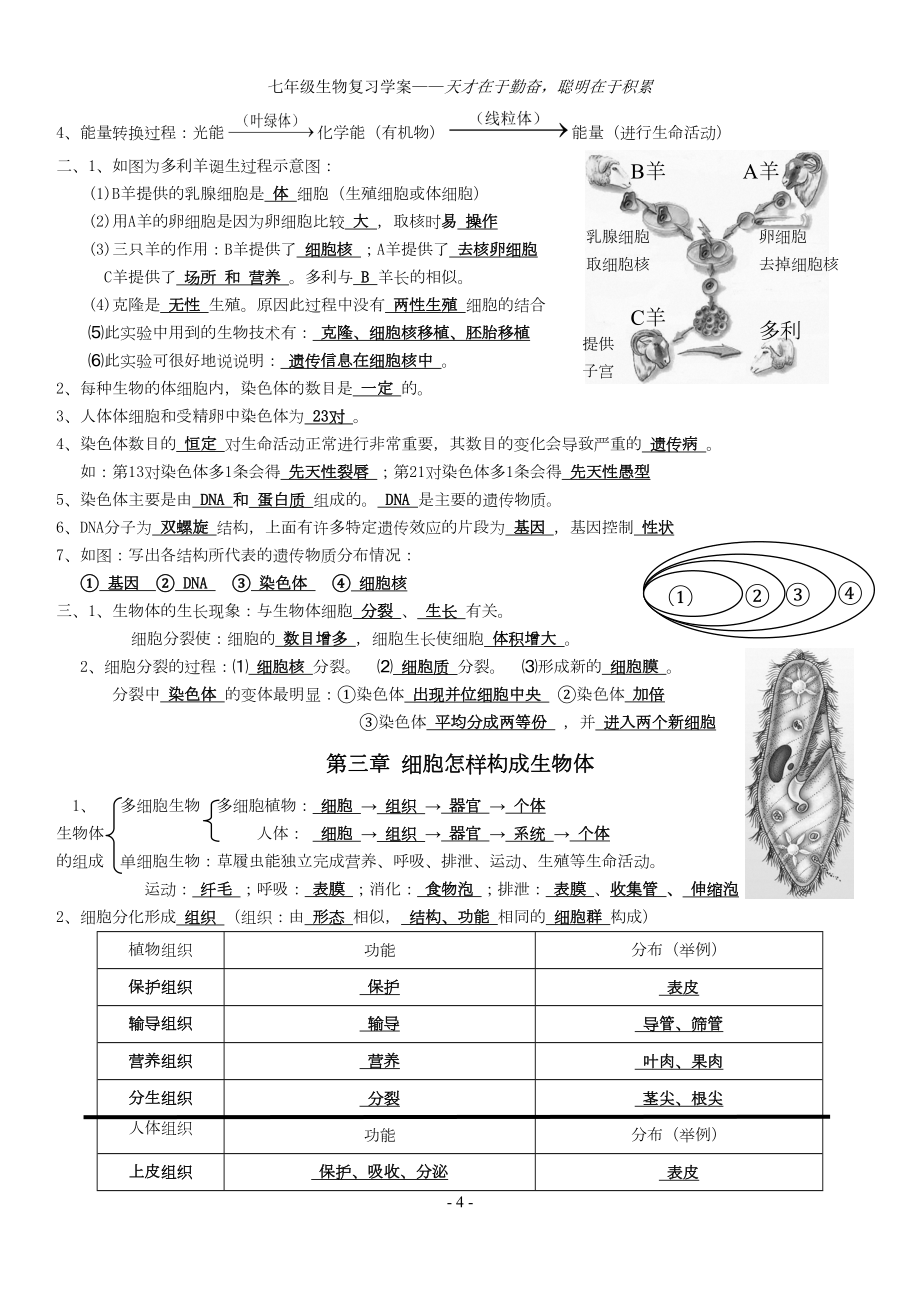 人教版七年级上册生物知识点总结