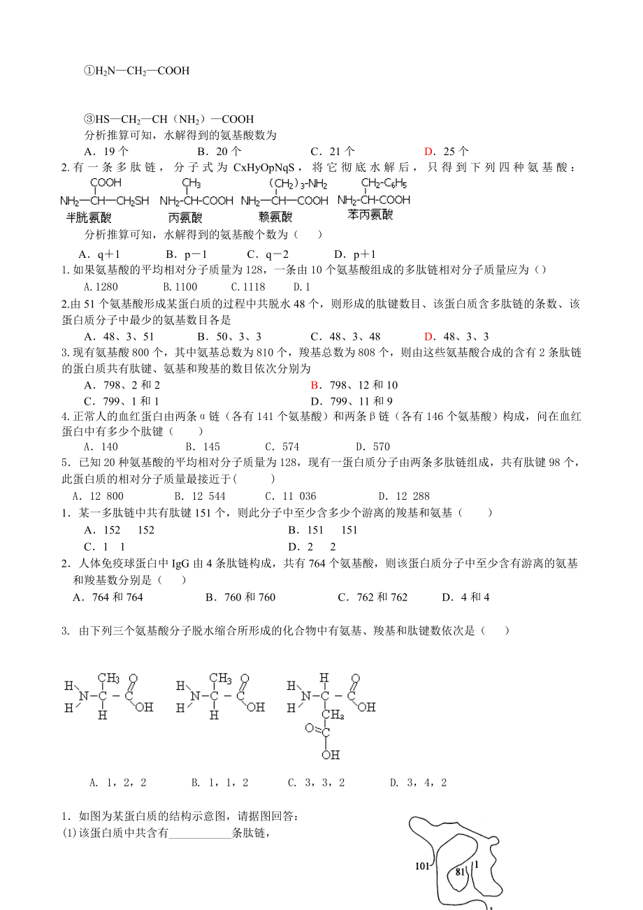 高中生物蛋白质计算练习题