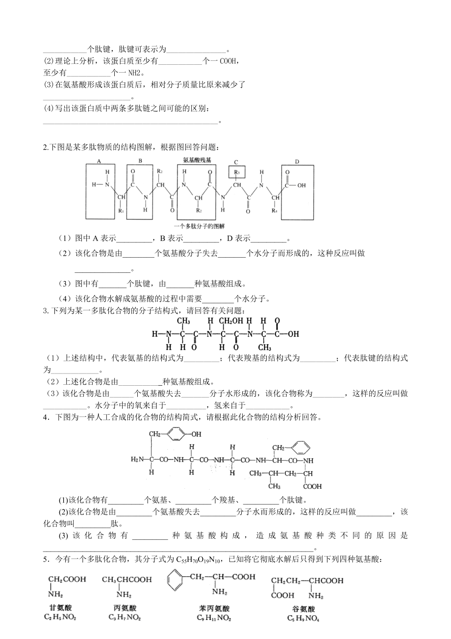 高中生物蛋白质计算练习题