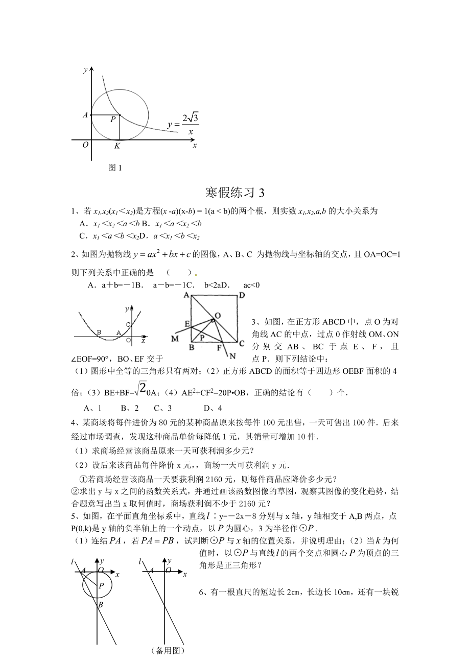 九年级寒假作业