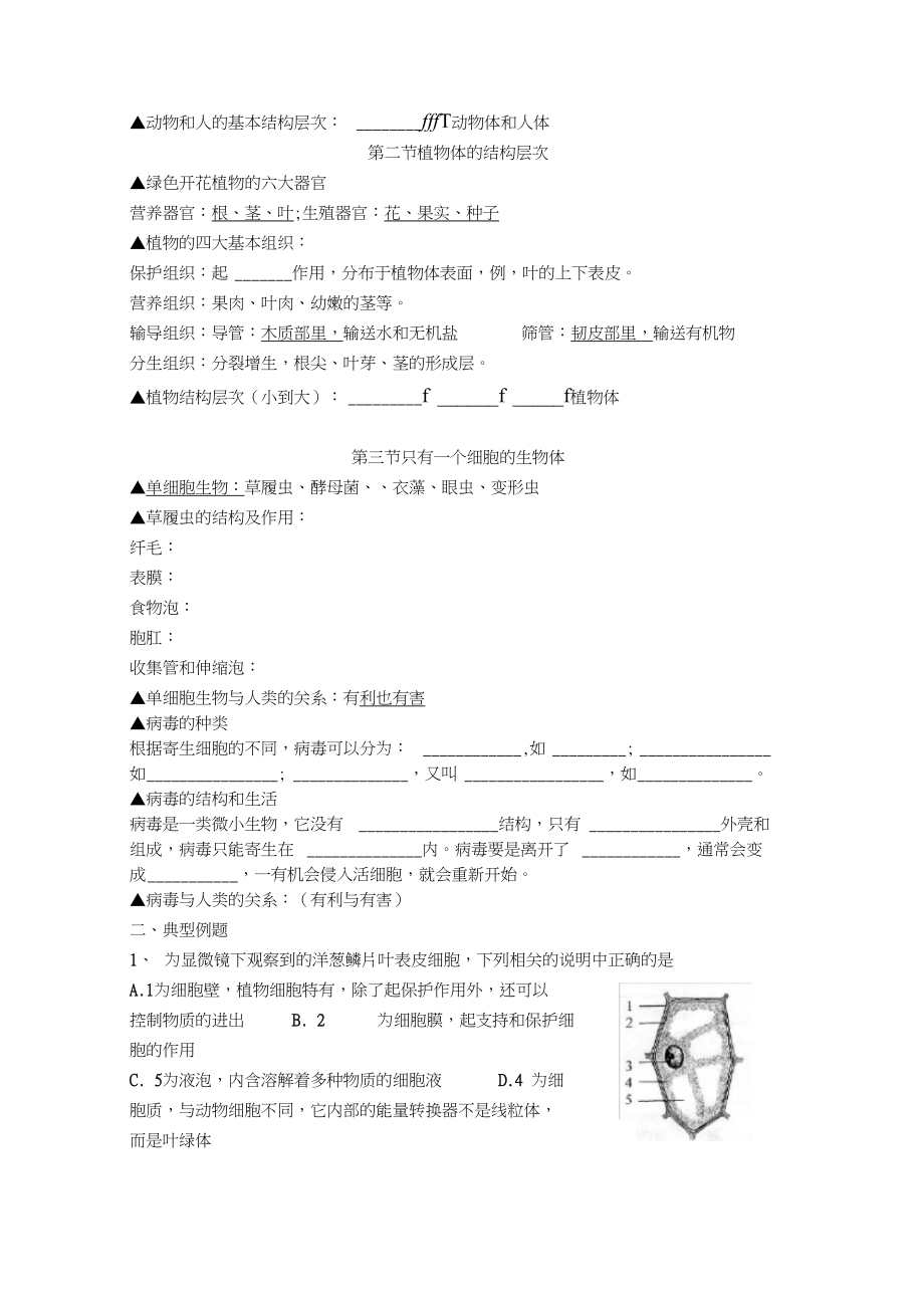 人教版七年级生物上册期末复习教案