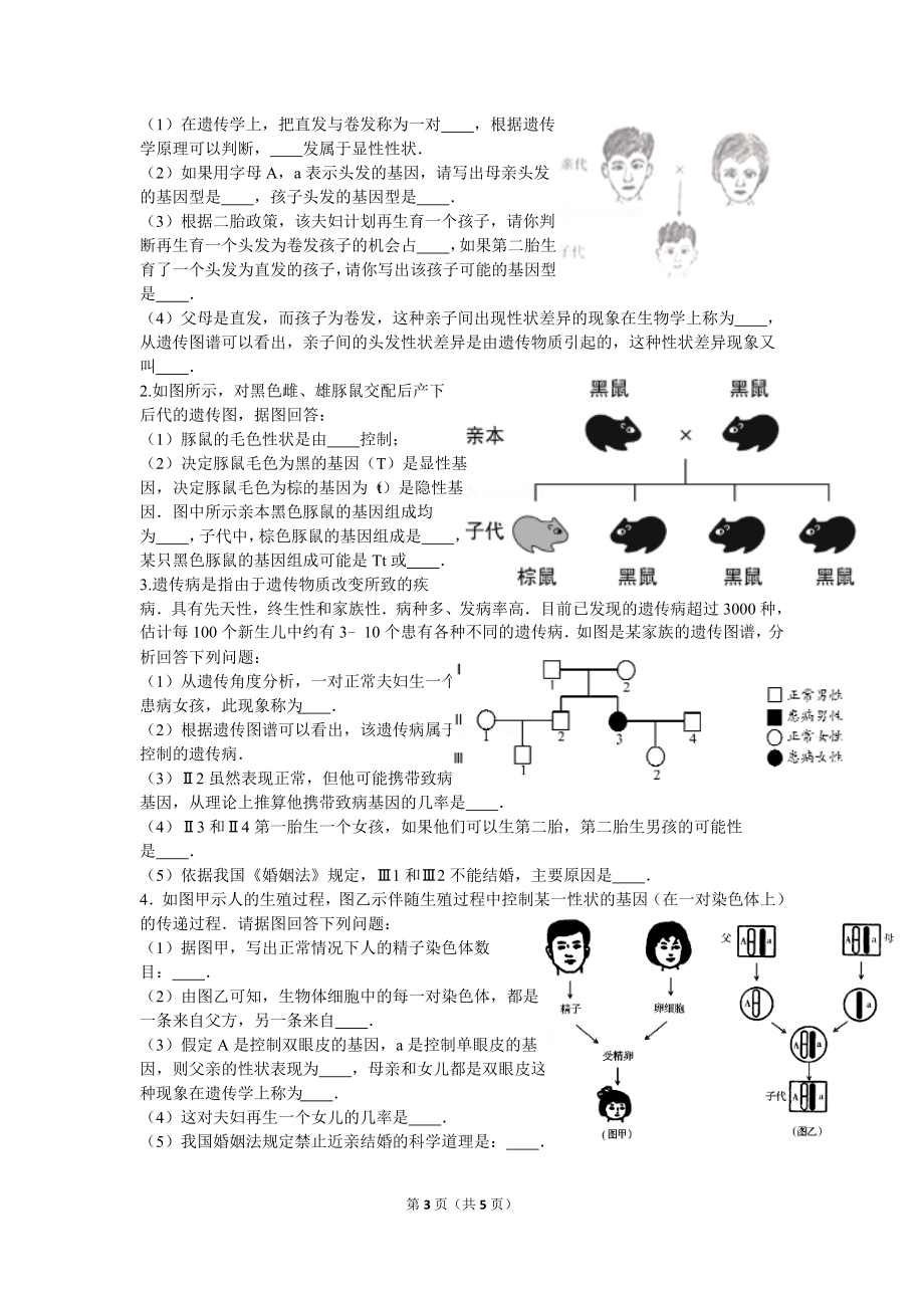 第三节基因的显性和隐性练习题