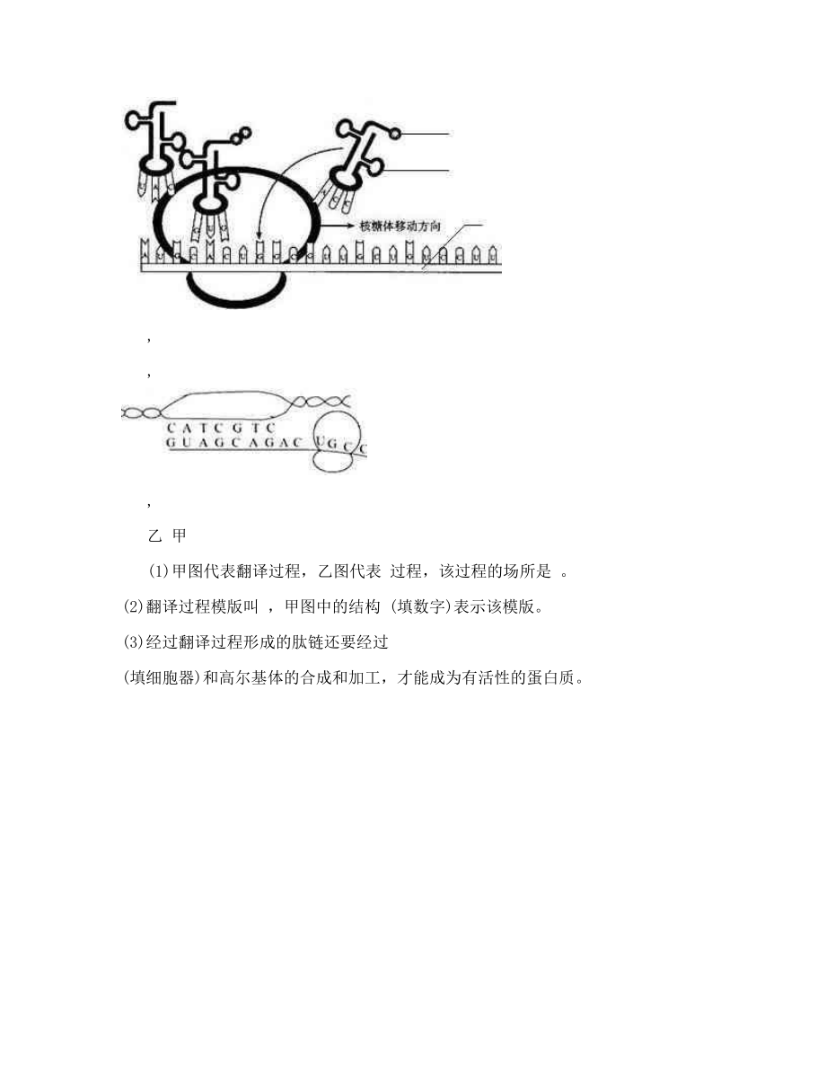 高中生物会考模拟题（DOC）