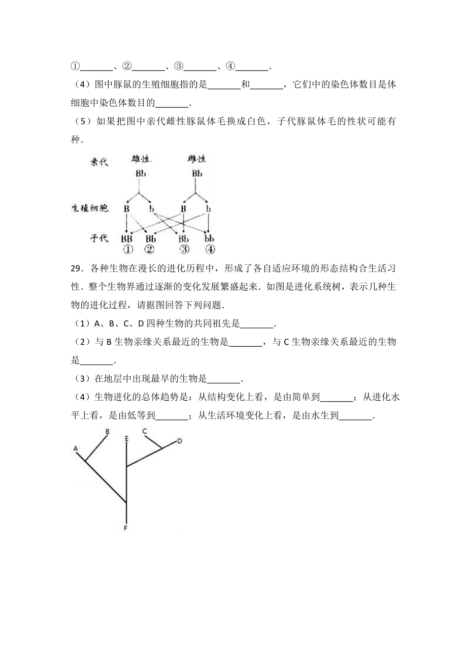 人教版八年级下册生物期中试卷 (13)