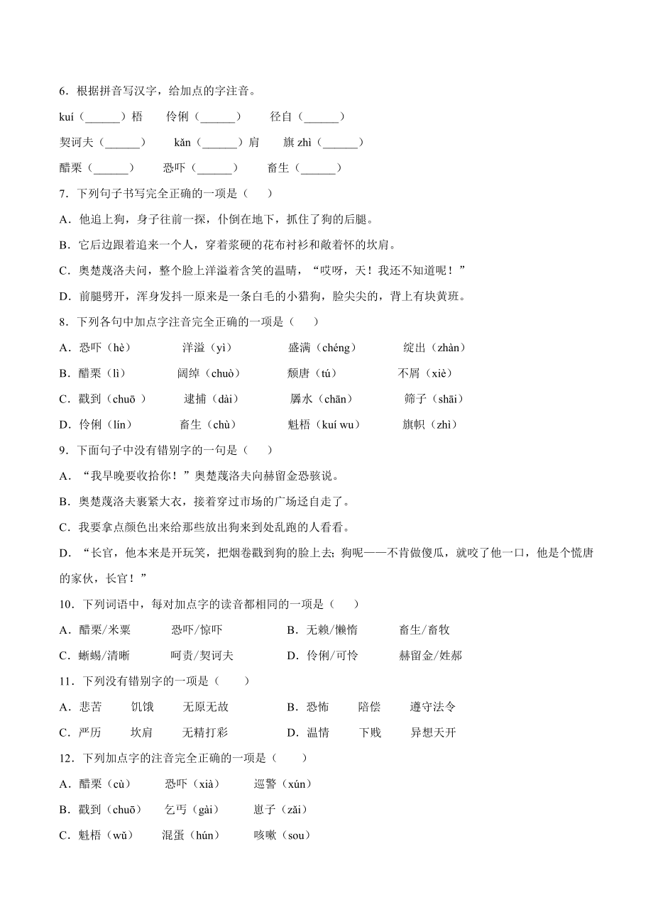 人教版九年级下册语文6 变色龙