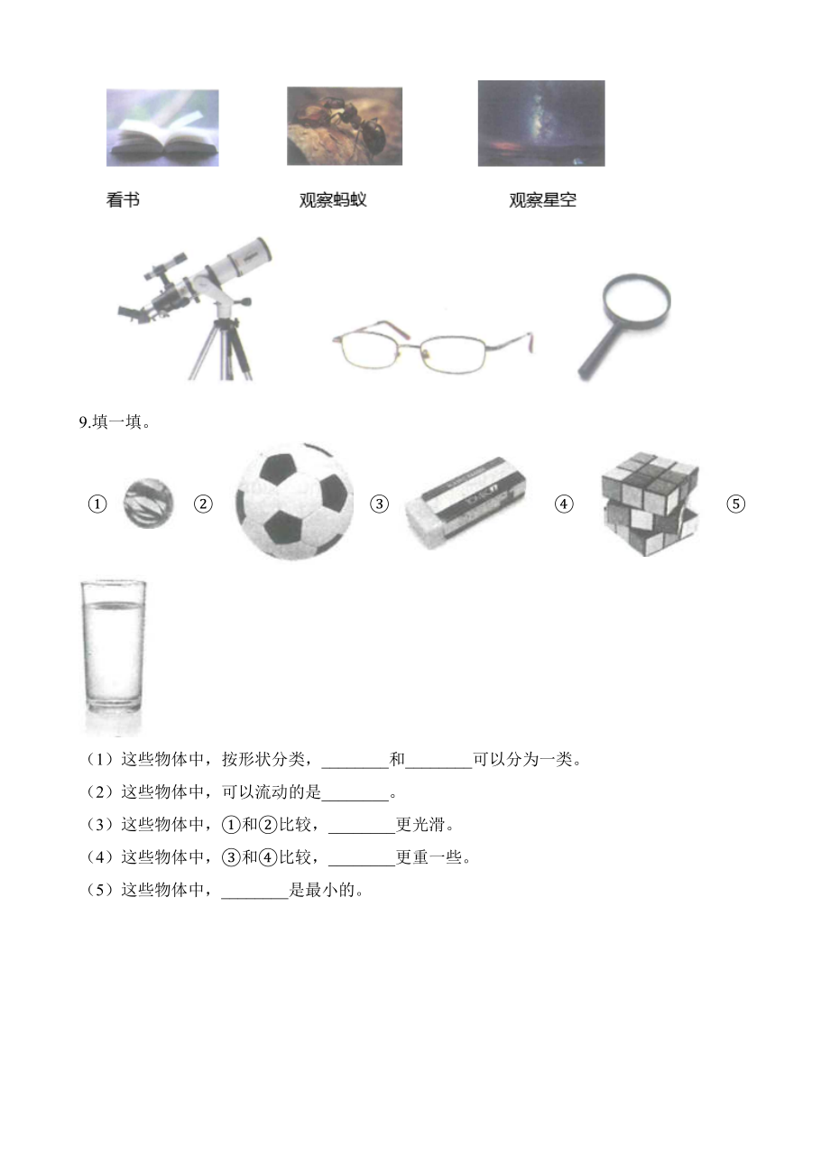 教科版一年级下册科学期末试卷 (6)