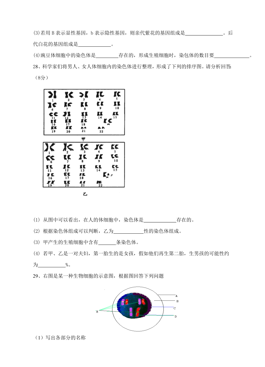 人教版八年级生物下学期单元测试题 第二章 生物的遗传和变异