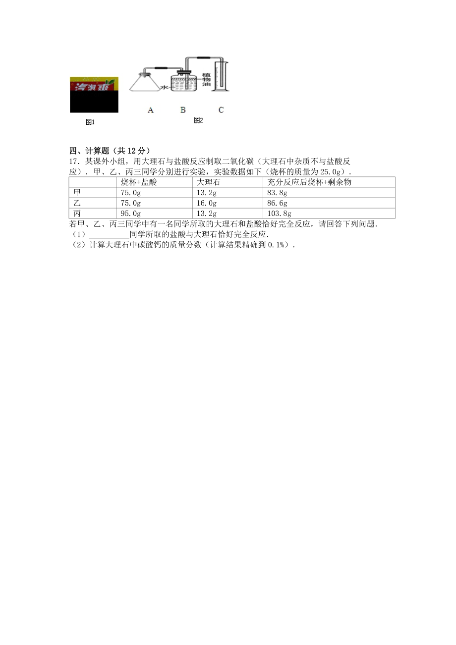 人教版九年级下册化学期末试卷 (39)