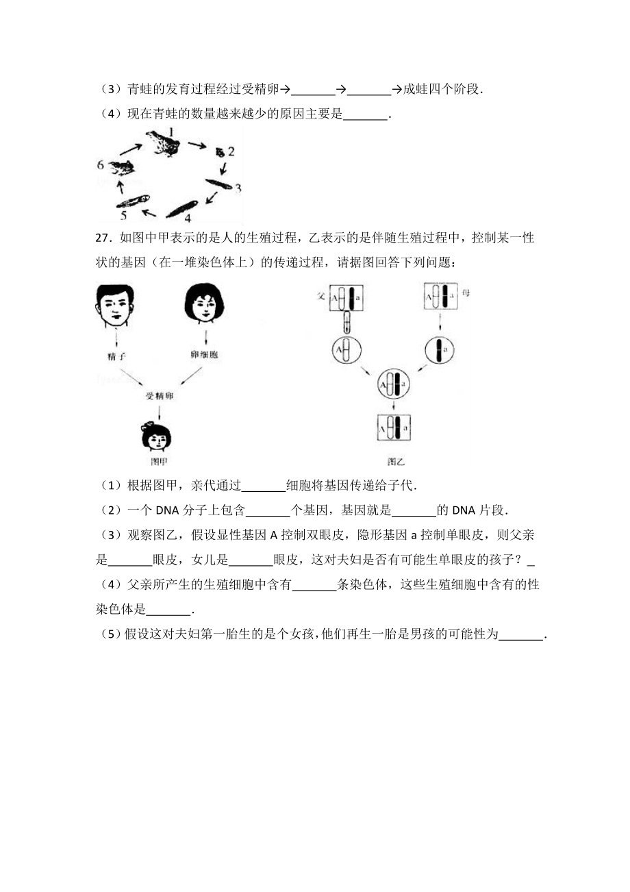 人教版八年级下册生物期中试卷 (22)