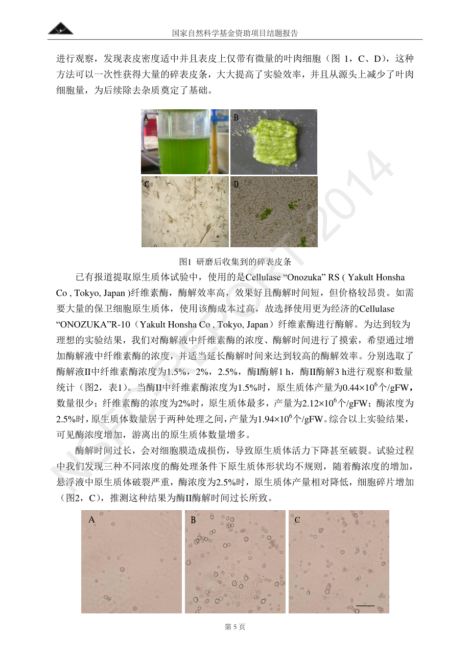 国家自然科学基金结题报告