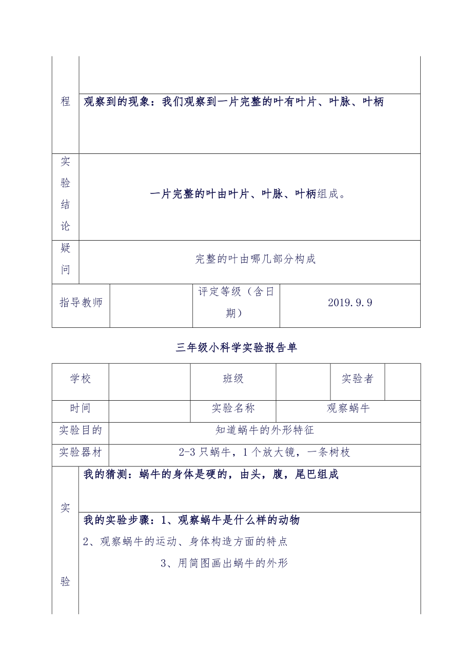 教科版三年级上册科学实验报告单