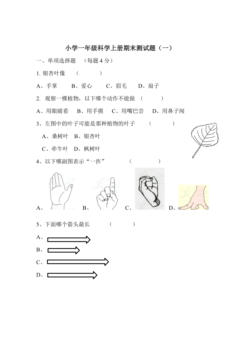 2019秋教科版一年级科学上册期末考试试卷（两套）有部分答案