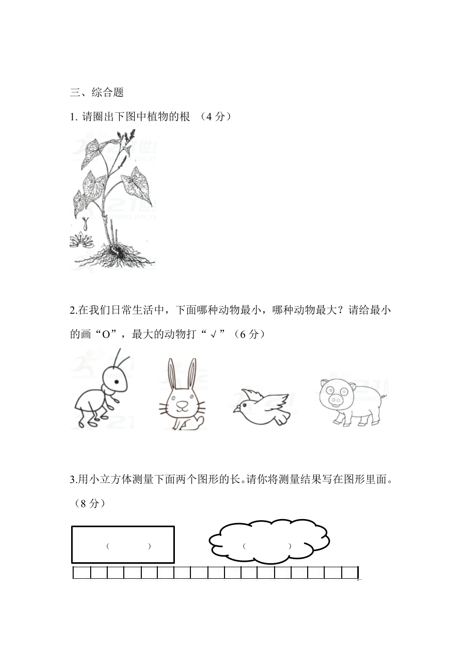 2019秋教科版一年级科学上册期末考试试卷（两套）有部分答案