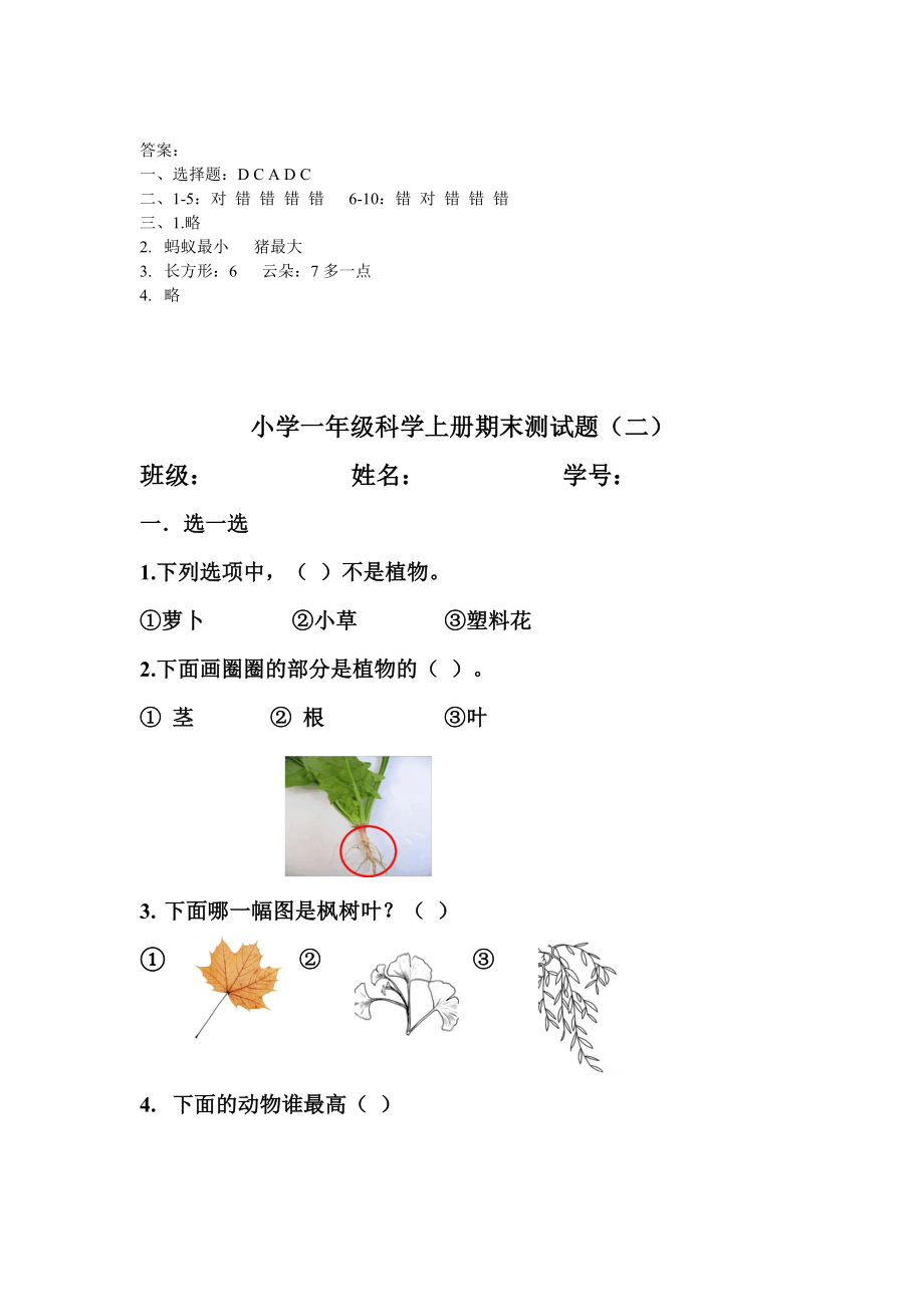 2019秋教科版一年级科学上册期末考试试卷（两套）有部分答案