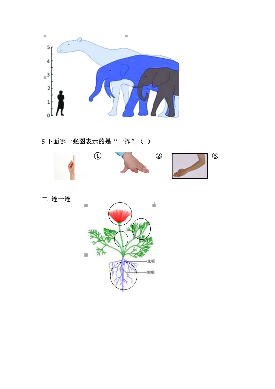 2019秋教科版一年级科学上册期末考试试卷（两套）有部分答案