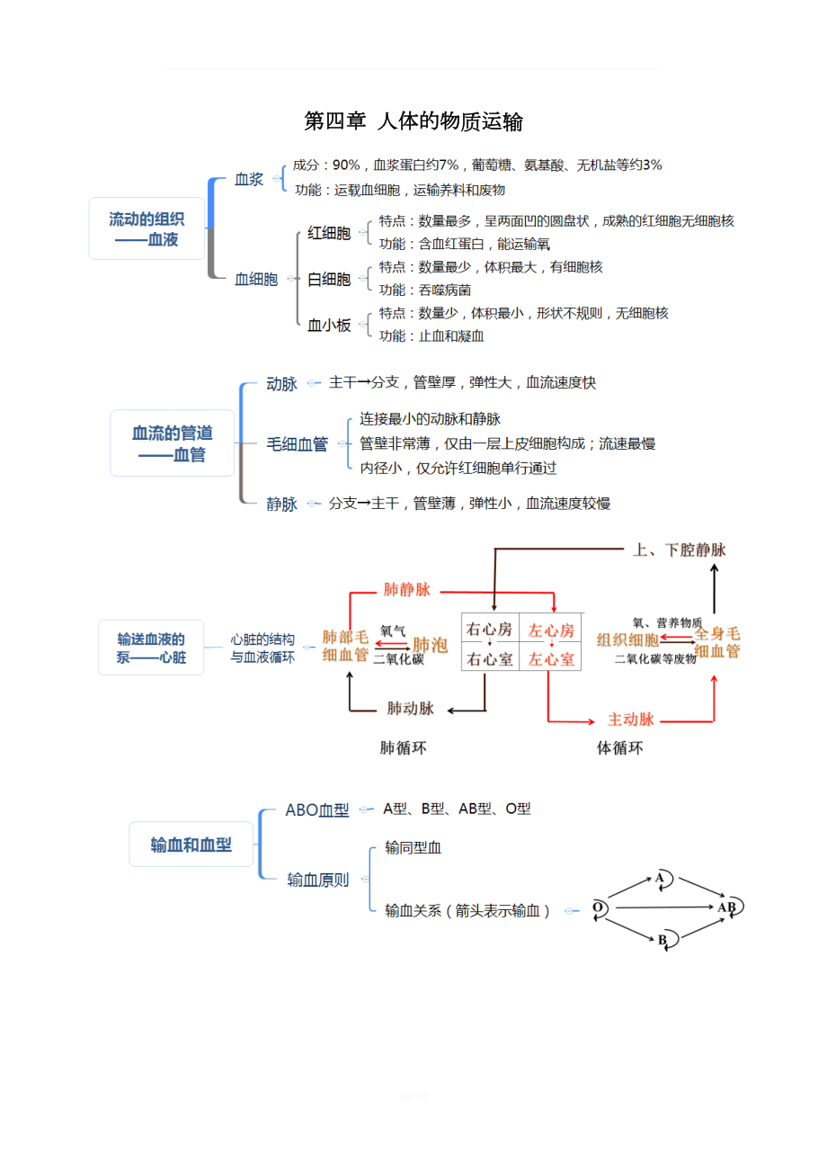 人教版七年级生物下册考点(思维导图版).doc