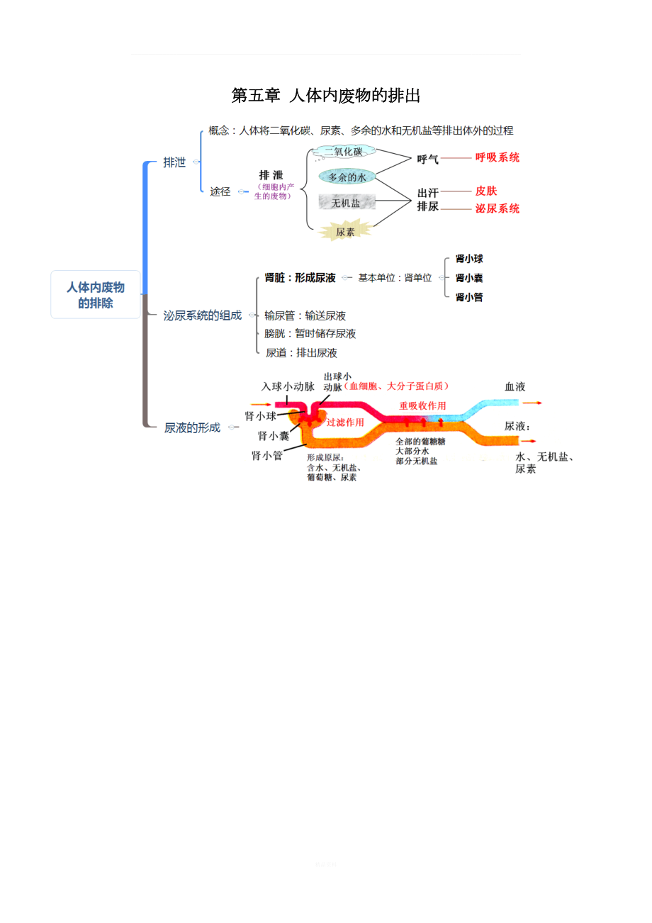 人教版七年级生物下册考点(思维导图版).doc