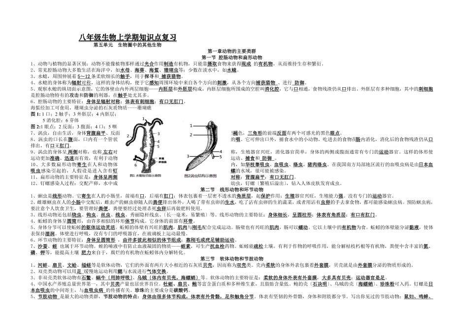 最新人教版生物八年级生物上册期末知识点归纳.doc