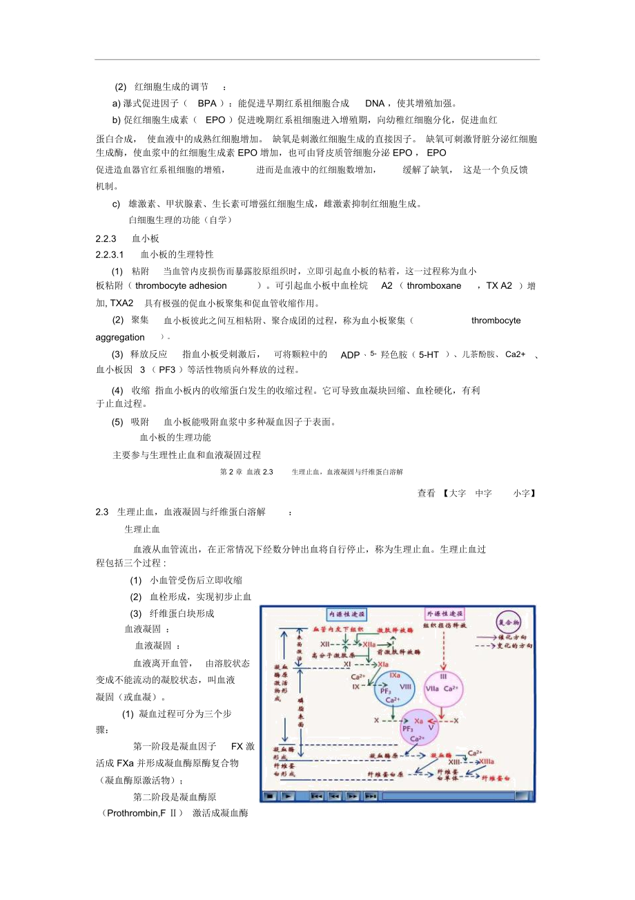 第2章血液教案参考.doc