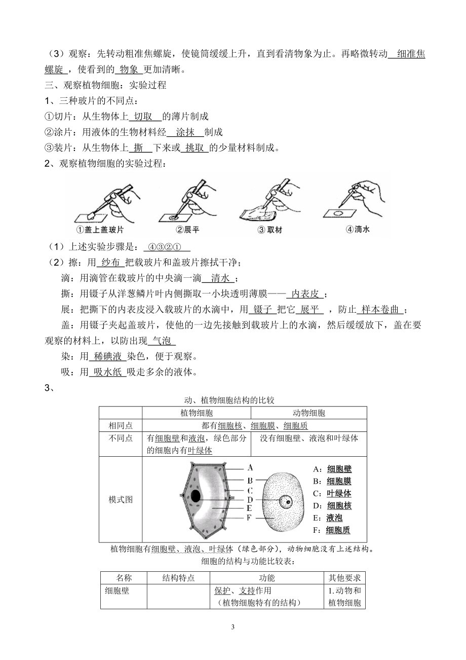 七年级上册生物复习提纲.doc