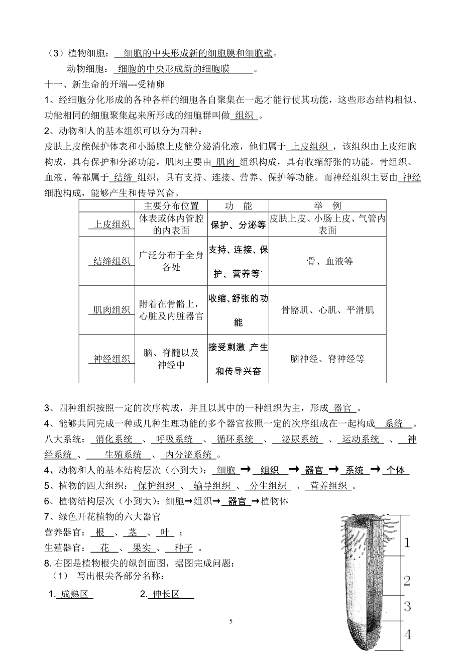 七年级上册生物复习提纲.doc