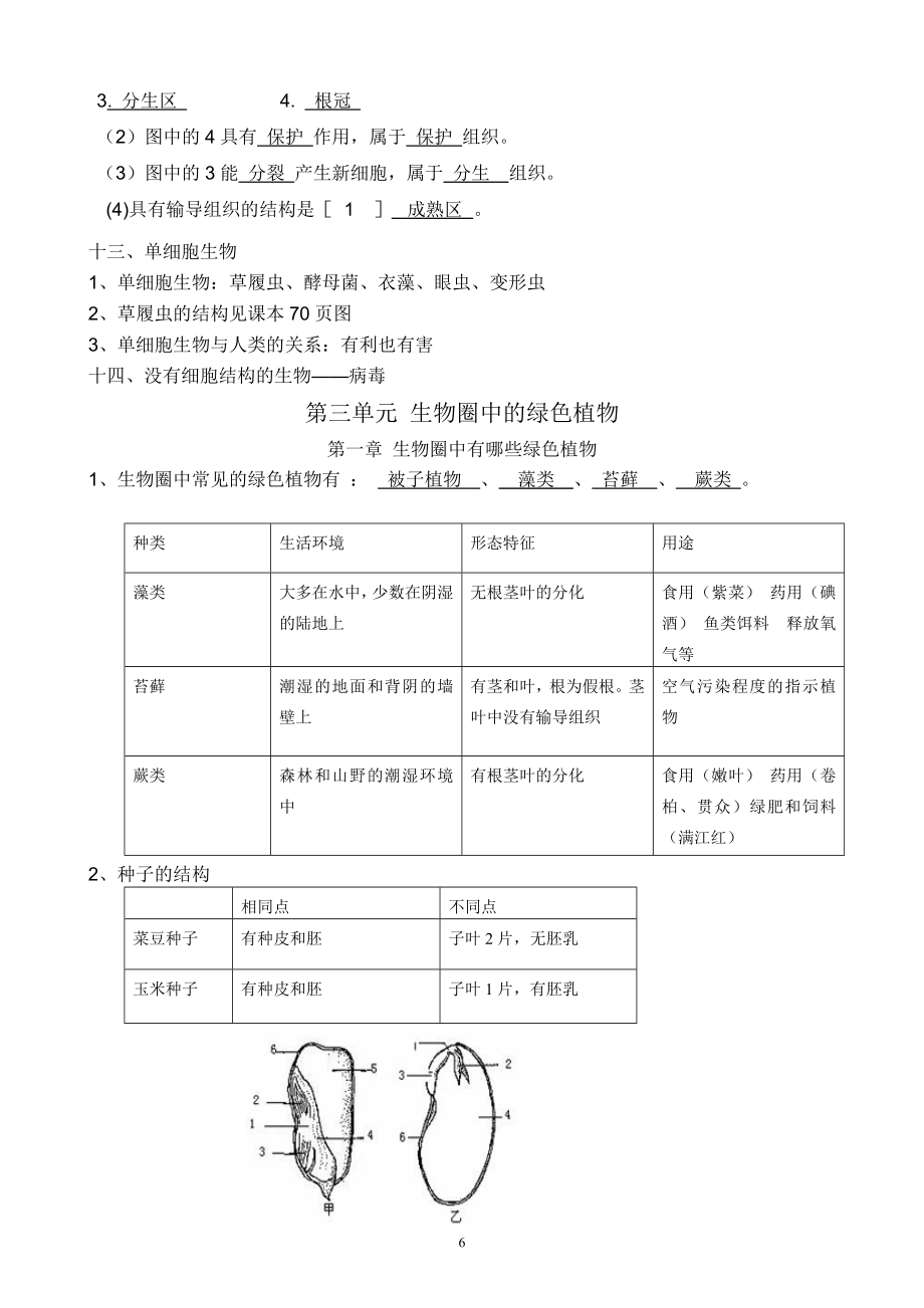 七年级上册生物复习提纲.doc