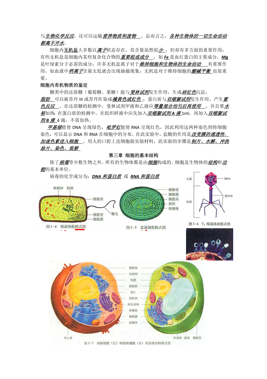 高考必备高三生物知识点大全_图文.doc