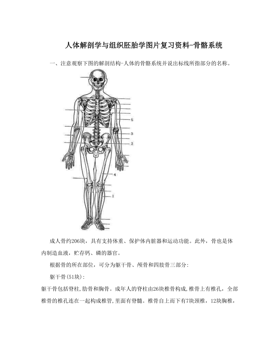 人体解剖学与组织胚胎学图片复习资料-骨骼系统.doc