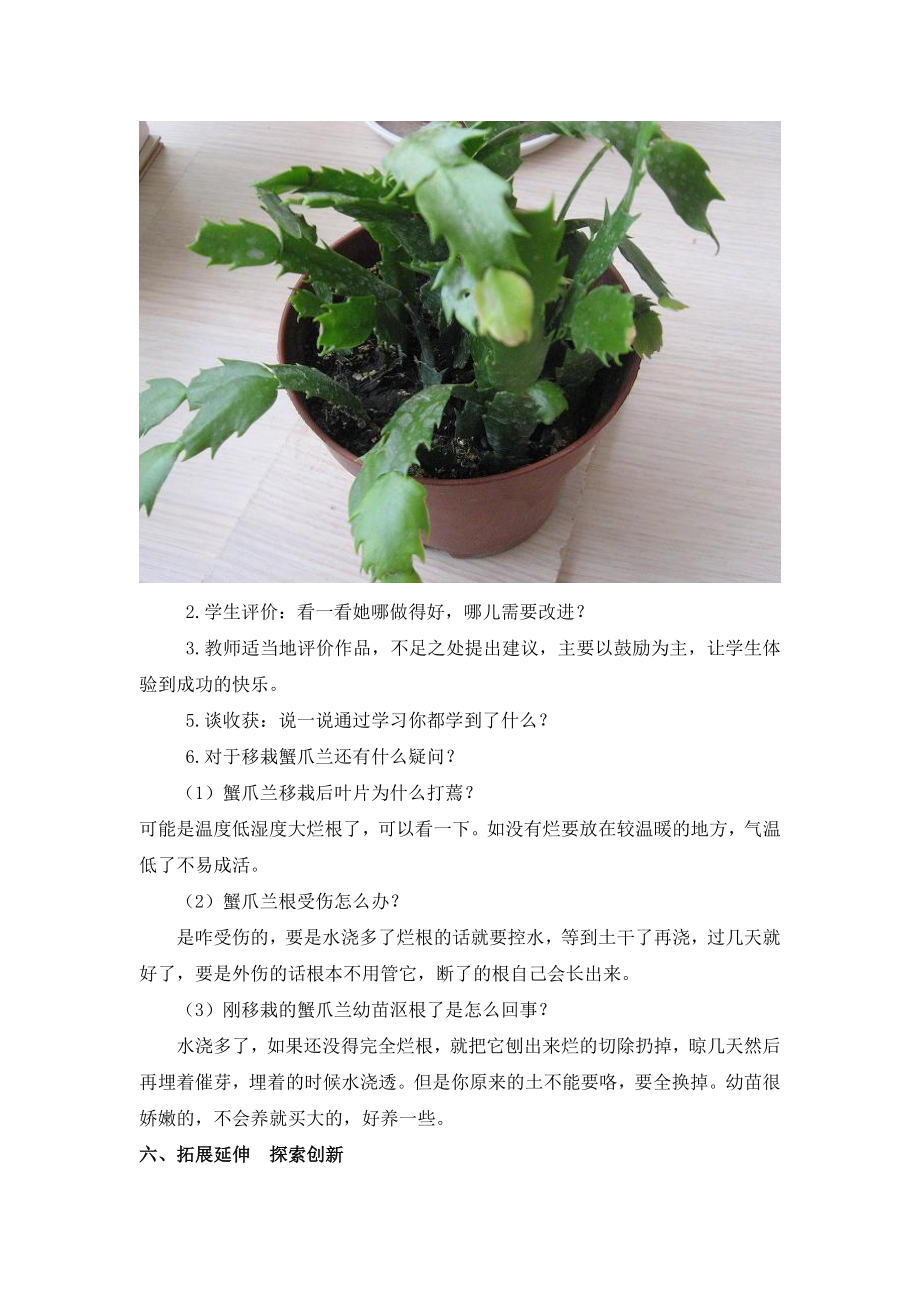 千庄五年级综合实践-植物栽培教案.doc