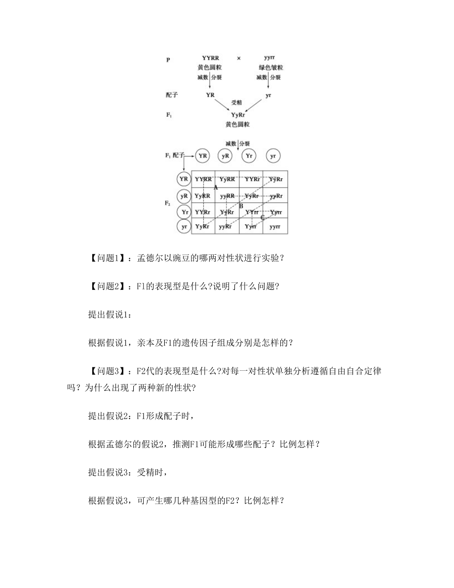 孟德尔豌豆杂交实验二导学案(公开课新).doc