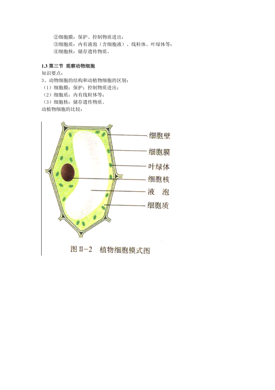 人教版生物七年级上册知识点.doc