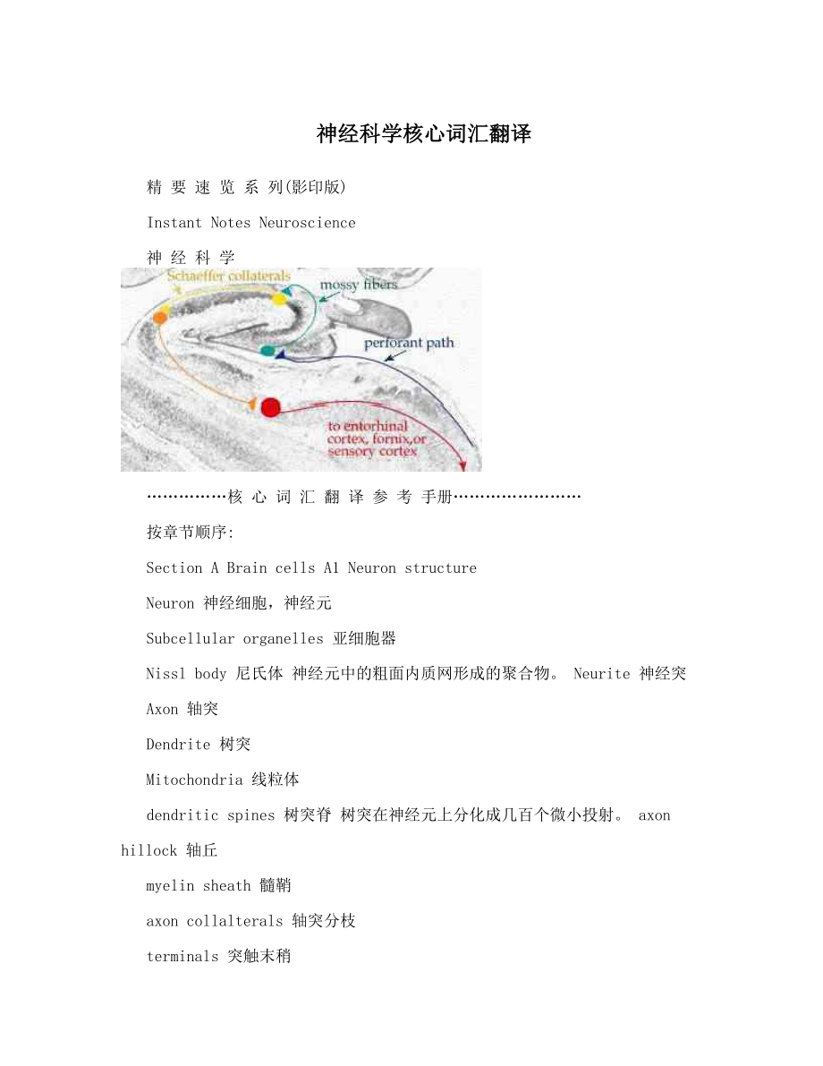 神经科学核心词汇翻译