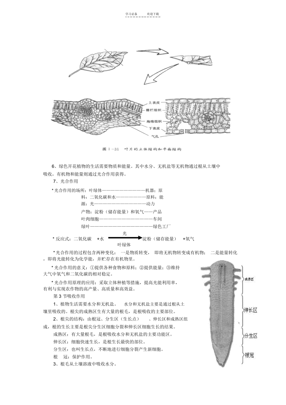 北师大版生物七年级上册知识点