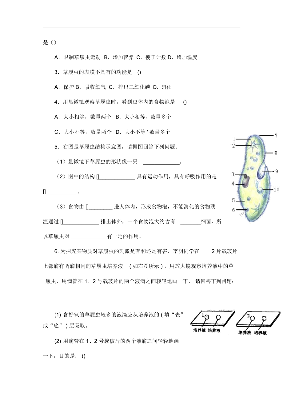 人教版七年级上册生物《单细胞生物》教学设计