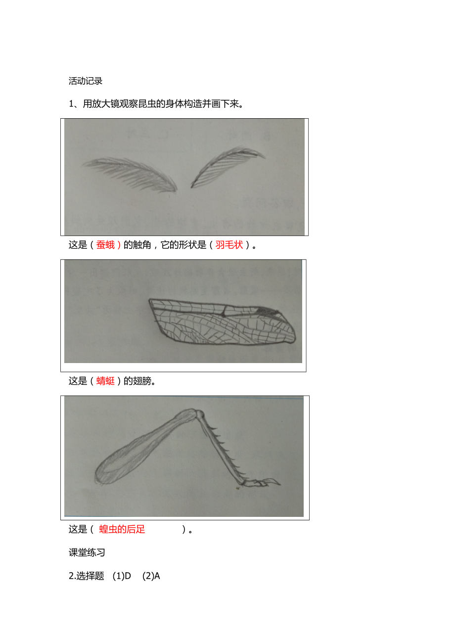 最新教科版科学六年级下册作业本参考答案.doc