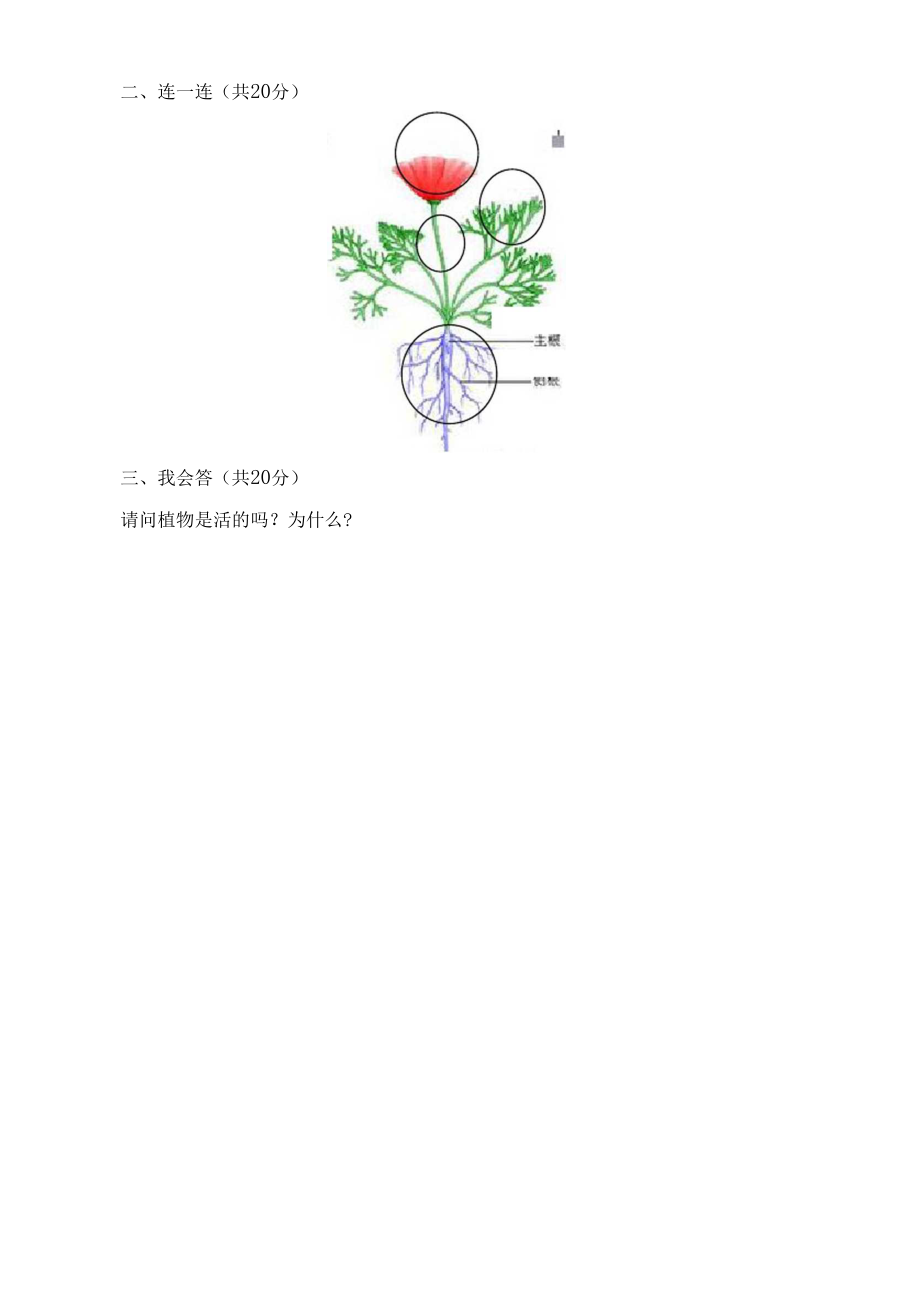 新教科版小学一年级科学上册期末检测试卷及答案(两套).doc