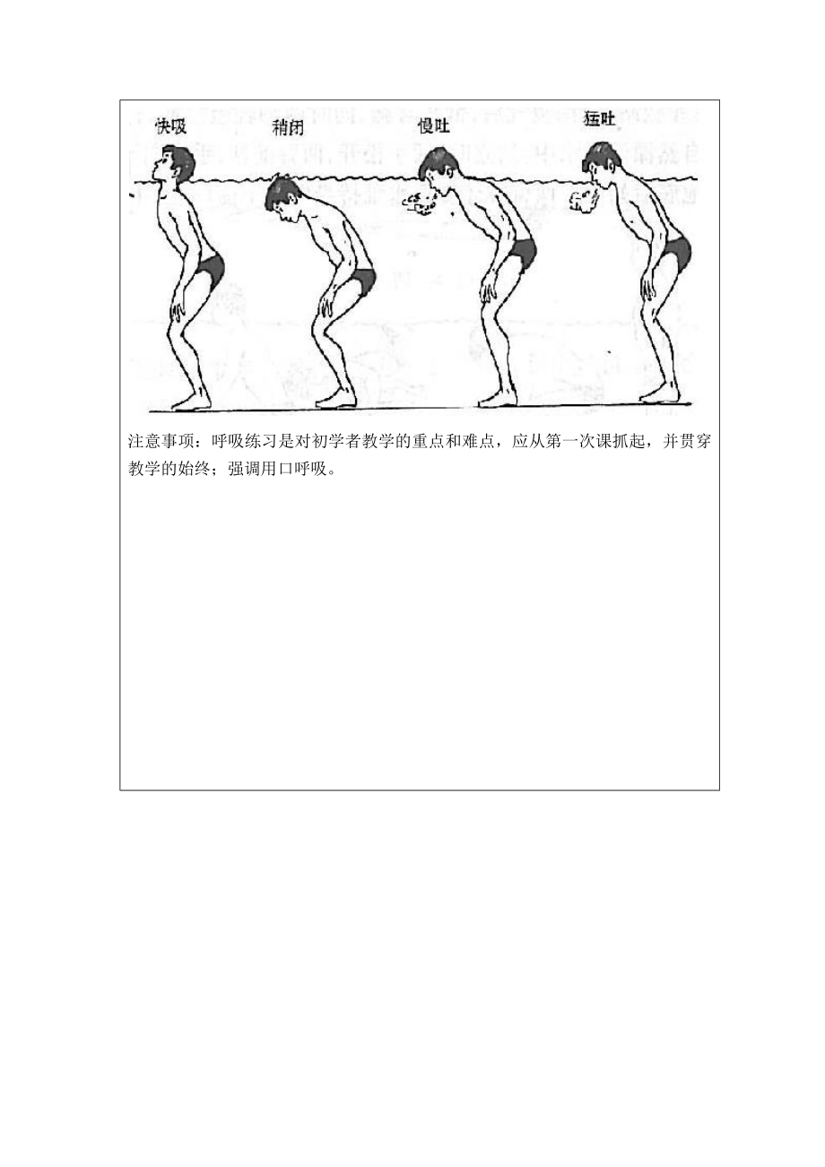 蛙泳教学教案.doc