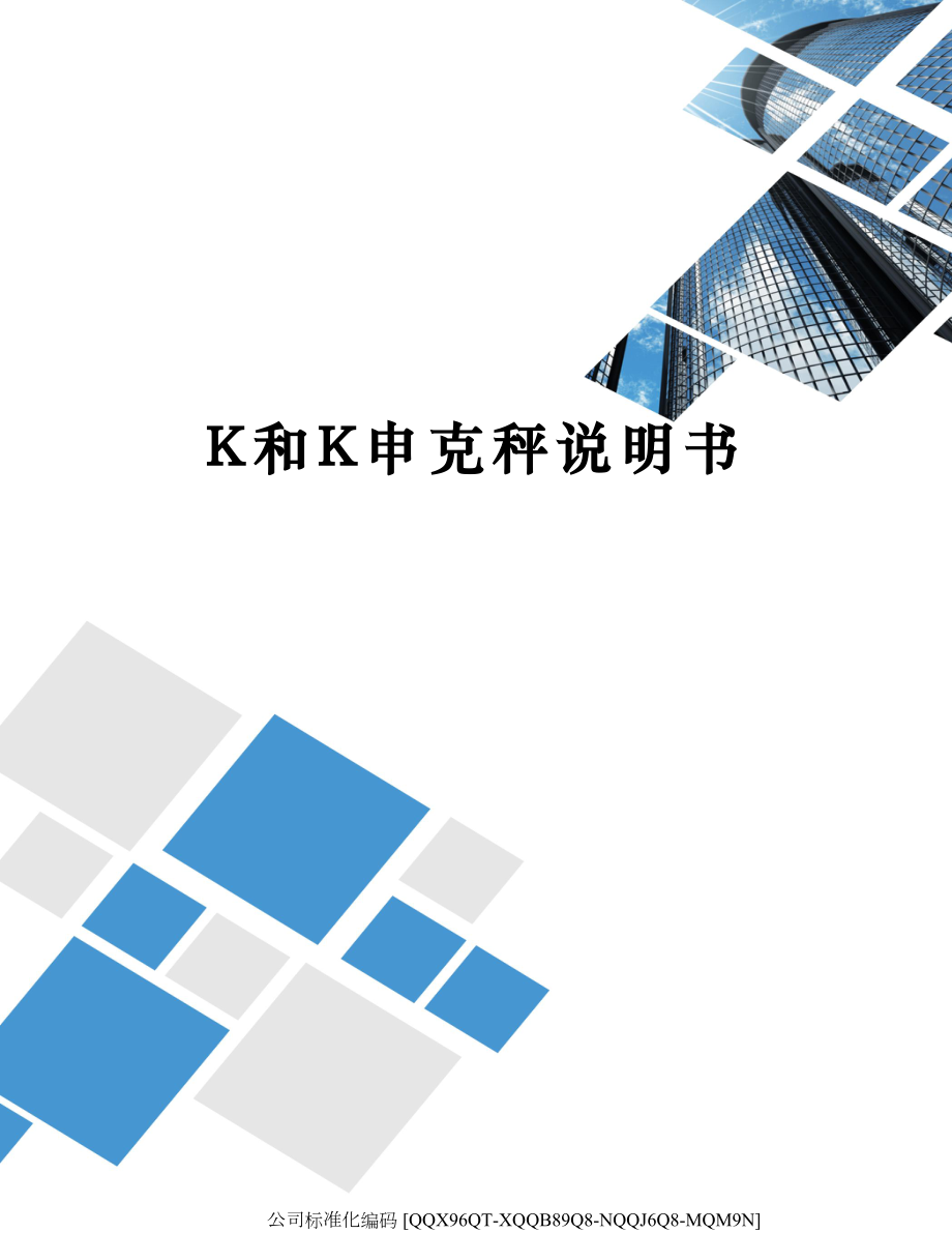 K和K申克秤说明书.doc