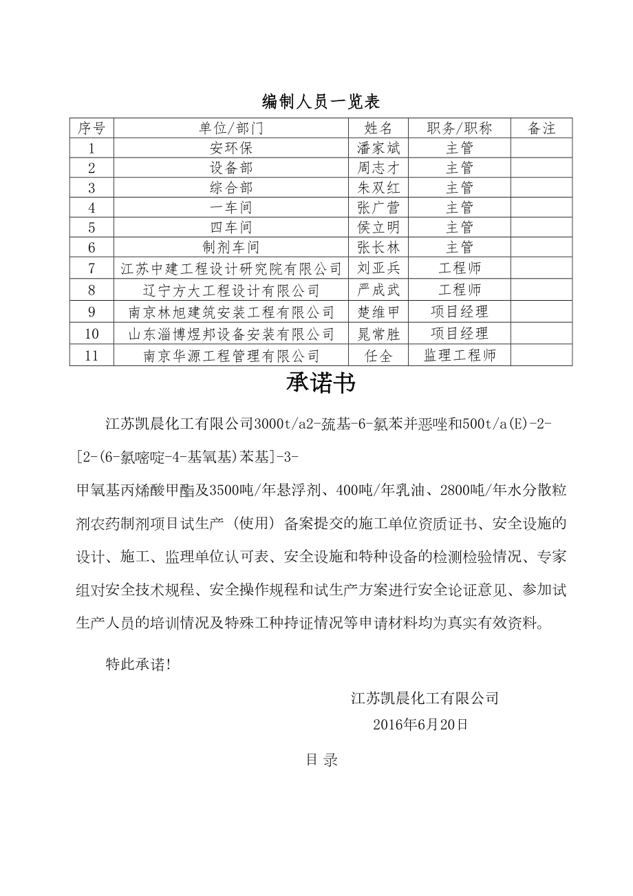 化工项目试生产方案.doc