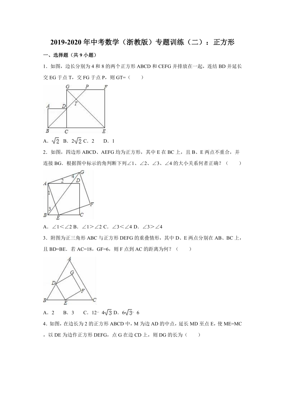 中考数学（浙教版）专题训练（二）：正方形